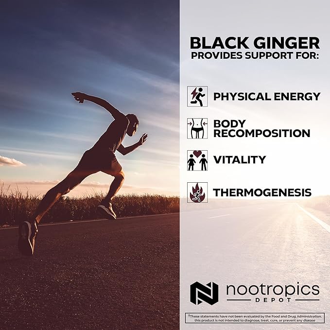 Nootropics Depot Black Ginger Extract Capsules | 10% 5,7-dimethoxyflavone | 180 Count