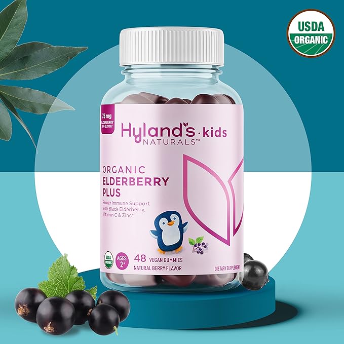 Hyland's Kids Organic Elderberry Plus Gummies, Organic Black Elderberry with ZINC and Vitamin C, Immune Support for Children, 48 Vegan Gummies (Pack of 2)