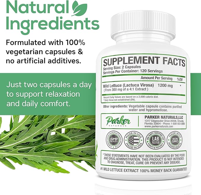 Wild Lettuce Extract – Herbal Sleep Supplement 1200mg, 4:1 Concentrated, Vegan Capsules, Soothes Discomfort, 120 Servings, 240 Count