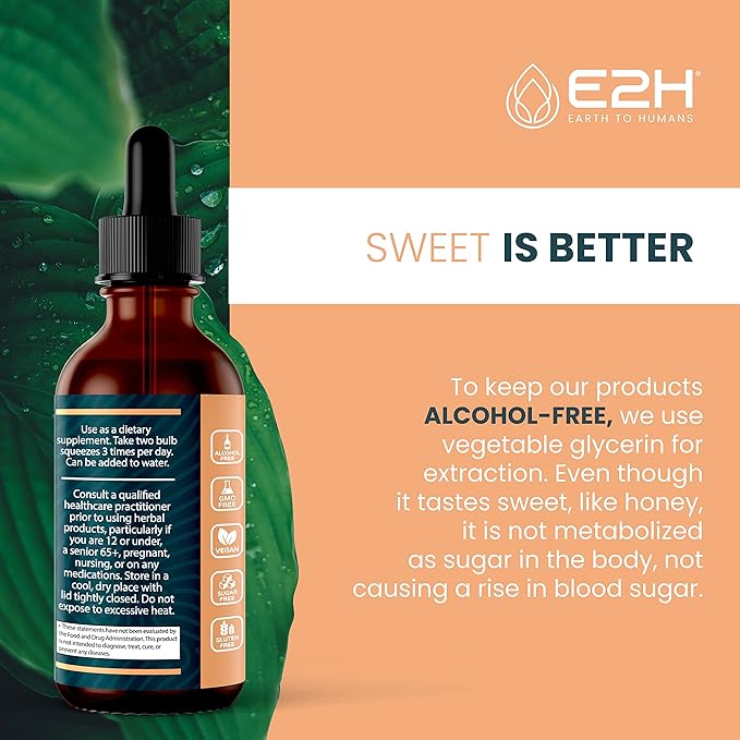 Lions Mane - Lions Mane Supplement - Promotes Mental Clarity, Memory & Focus - Lions Mane Liquid for Immune Support - Mushroom Tincture - 2 Fl Oz by E2H