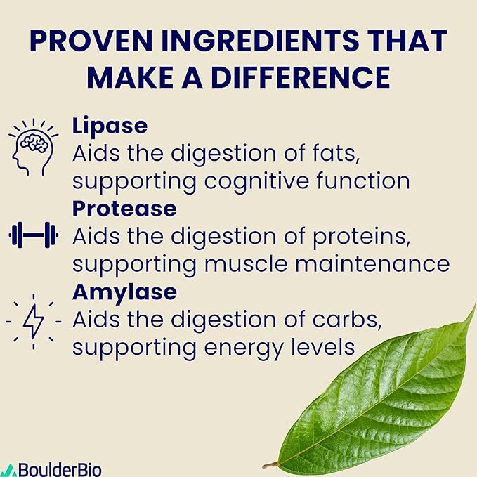 Digestive Enzymes - 40,000 USP Lipase - Prescription Strength Pancreatic Enzyme Replacement Formula for Fat Digestion, Gut Health & Nutrient Absorption - Fermented, Vegan, High Potency