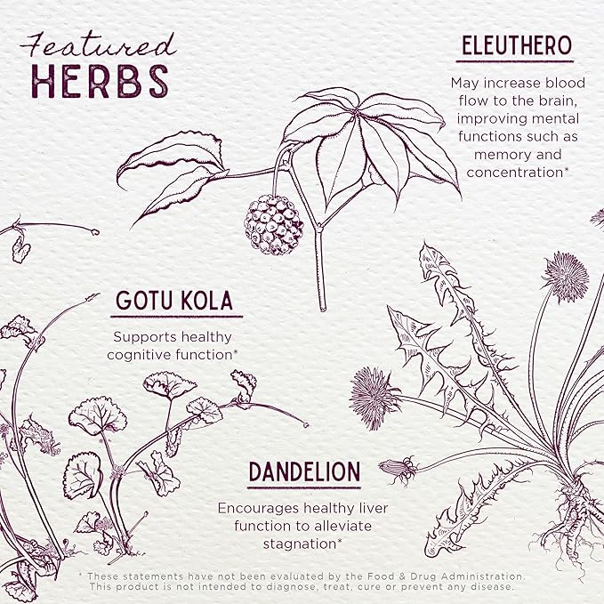 WishGarden Herbs Genius Juice - Liquid Herbal Nootropic Brain Booster Supplement for Focus, Clarity, Concentration & Energy with Ginkgo Biloba & Gotu Kola, Cognitive Support, No Caffeine, 2oz