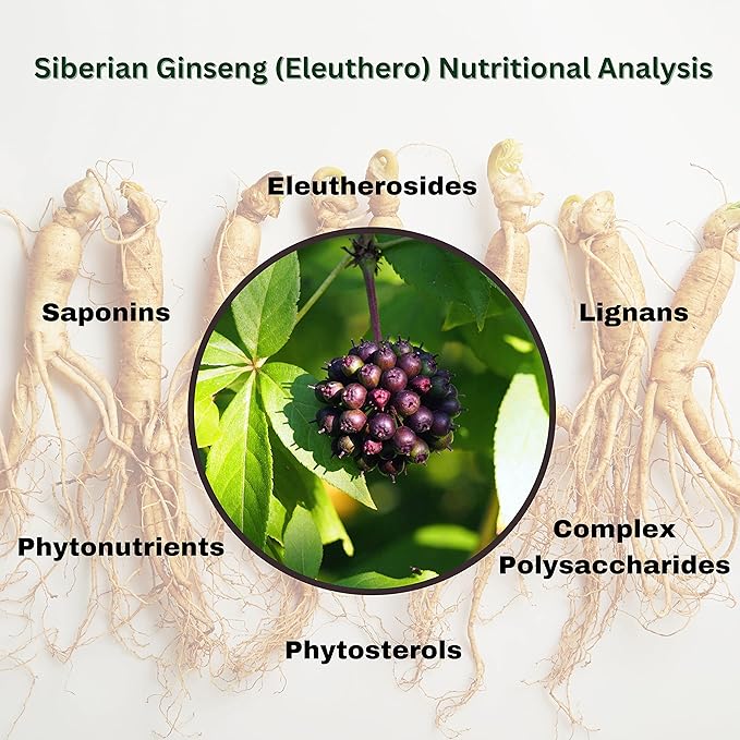 Go Nutra Siberian Ginseng Powder 4:1 Extract 4X Times Stronger Eleuthero Root Extract Non-GMO 4oz