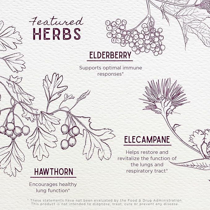 WishGarden Herbs Serious Cough AM Soothing Syrup - Natural Herbal Daytime Non-Drowsy Cough Suppressant for Adults with Elderberry Calms Cough Reflex, Normalizes Mucus Production, Opens Chest, 4oz