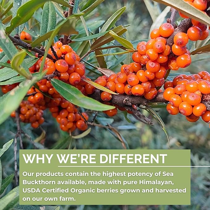 Organic Sea Buckthorn Oil, Omega-7 Complete Softgels, 180 Count, with Omega 3, 6 & 9, Supports Hair, Skin & Nail Health, 1000mg per Serving