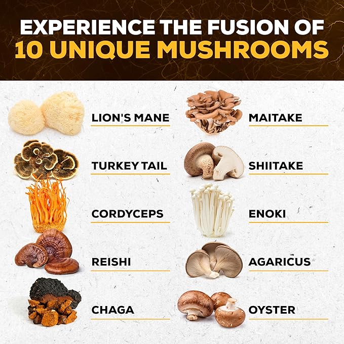 Mushroom Supplement 10x Complex - Lions Mane, Turkey Tail, Cordyceps, Reishi, Chaga, Maitake, Shiitake, Oyster Extract Mushrooms - Nootropic Brain Support Supplements for Memory and Focus