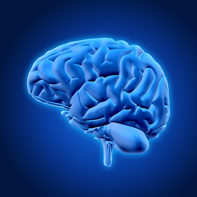 Brain & Cognitive