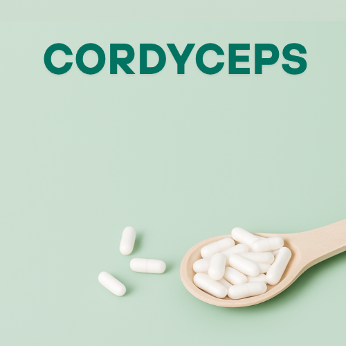 Cordyceps