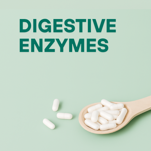 Digestive Enzymes
