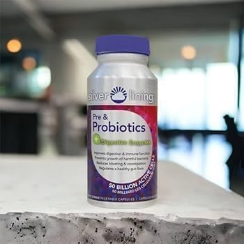 Silver Lining Pre & Probiotics + Digestive Enzymes | 50 Billion CFU/Active Cells | Digestive & Immune Function Support, Reduces Bloating | Shelf-Stable Formula | 360 Count (Pack of 3)