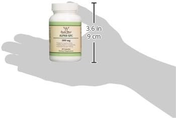Alpha GPC Choline Capsules - 60 Count, 600mg Servings – Brain Support Aid that Supports Focus, Memory, Motivation, and Energy - (Made in the USA) Brain Support Supplement by Double Wood Supplements