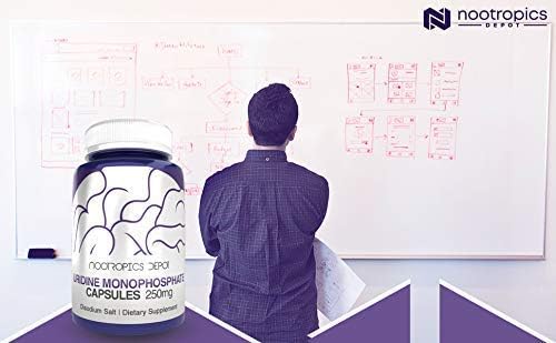Nootropics Depot | Uridine Monophosphate Capsules | 120 Count | 250mg