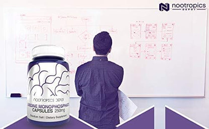 Nootropics Depot | Uridine Monophosphate Capsules | 120 Count | 250mg