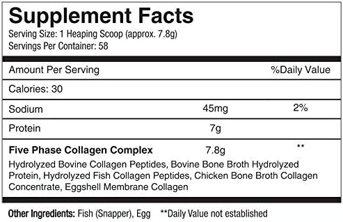 Pure Hydrolyzed Multi Collagen Peptides Protein Powder Supplement - Types I, II, III, V, X - 5 Types of Grass Fed, Wild Caught Food Sourced Collagen - 16 oz Pouch - Flavorless