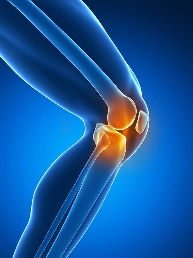 Vital 3 Joint Solution Clinically Proven Liquid Knee Relief Supplement Biologically Active Fragments of Collagen Type II-n1 Supports Joint Flexibility and Mobility