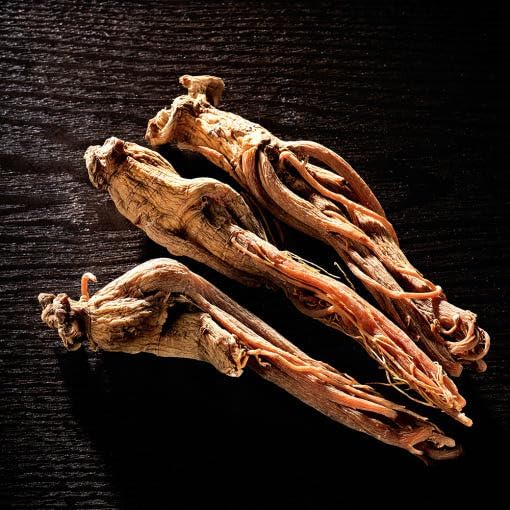 BOTO 6 Years Korean Red Ginseng Gold Extract Natural Energy Supplements Nitric Oxide Brain Natural Immune Support Liquid Portable Sticks 30 Sachet for 1 Month