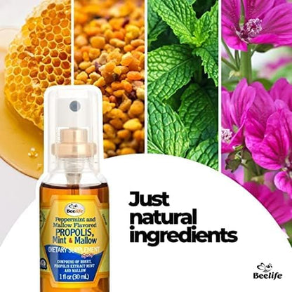 Beelife Propolis Throat Spray – Soothing Honey, Mint & Malva - Natural Immune Support & Sore Throat Relief, Antioxidants, Rich in Flavonoids & Artepillin C, No Sugar, Gluten-Free - 1-Pack, 30ml