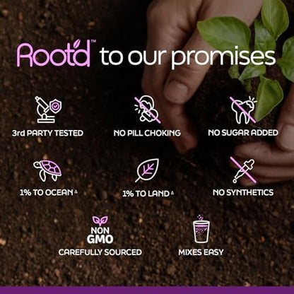 Root'd Prenatal Multivitamin Powder with 3X Electrolytes - 25 Vitamins & Minerals, Folate, Iron, Vitamin D3, 7 Superfoods & Probiotics, Sugar-Free Vitamins & Hydration | 24 Vitamin Drink Mix Packets