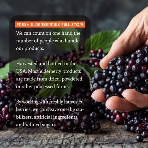 Dr. Appleseed's Wild Elderberry Extract Unsweetened Max Strength 720mg Kids + Adults Daily Immune Supplement Doctor- Formulated Science-Backed Pure Vegan 25 Day Supply – 2 Fl Oz