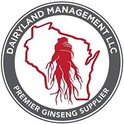 Dairyland American Ginseng Roots 西洋参 - 16 oz Pack of Wisconsin Ginseng Root - Authentic American Ginseng - Non-GMO, Gluten Free Whole Ginseng - Use This Herbal Supplement in Soup, Tea, Congee