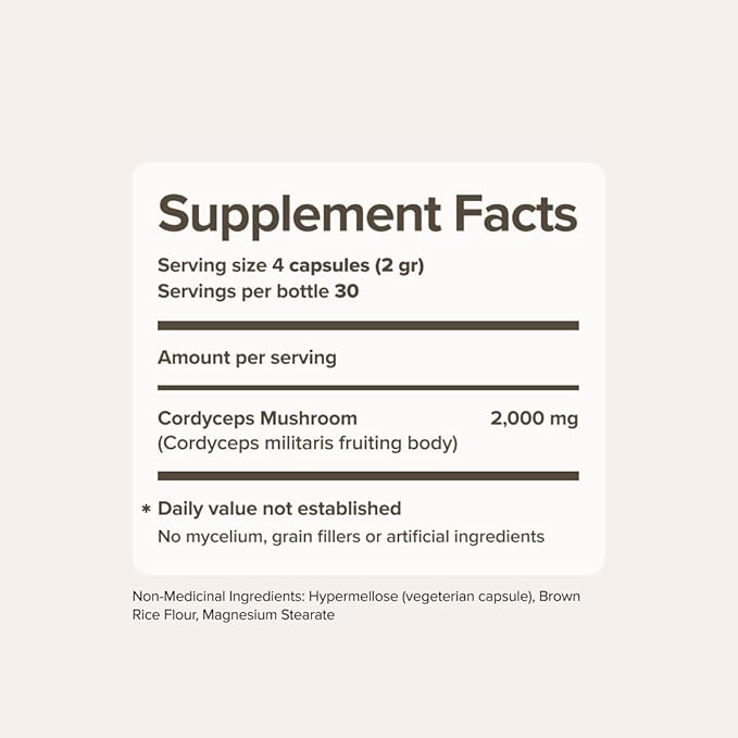 Cordyceps Mushroom Capsules by Bloomable I Energy and Endurance (120 Capsules)