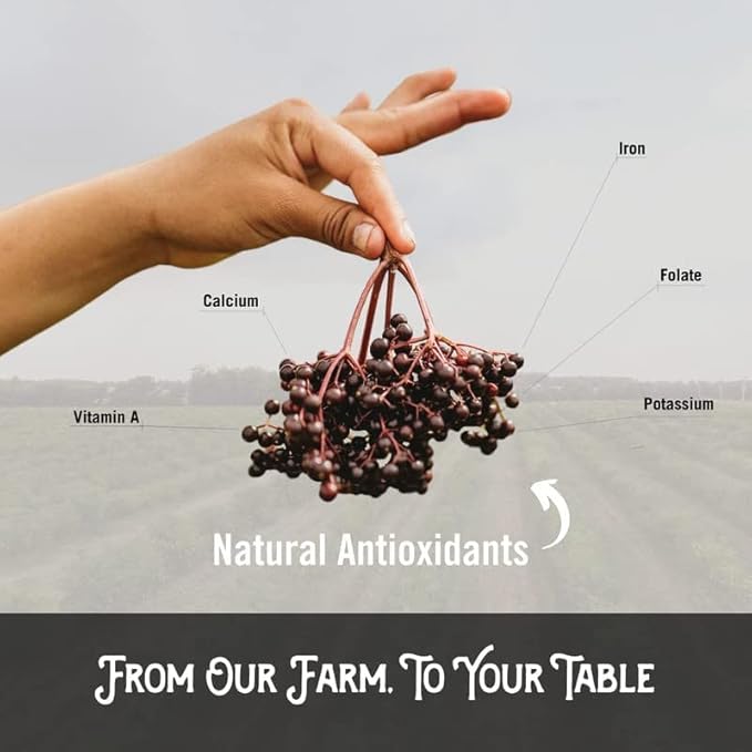 Norm's Farms Daily Immune Elderberry Gummies - Vitamin C, Zinc & Probiotics - Vegan, Gluten Free, Kosher, Non-GMO - 60 Gummies