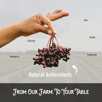 Norm's Farms Daily Immune Elderberry Gummies - Vitamin C, Zinc & Probiotics - Vegan, Gluten Free, Kosher, Non-GMO - 60 Gummies