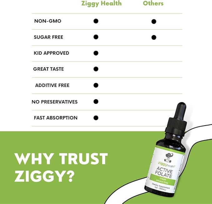 Active Folate Pure Liquid Extract Supplement - L-Methylfolate for Better Absorption, Brain Health, Improve Cellular Function, Support Immune System, Water Soluble B Complex, 1oz - by Ziggy Health