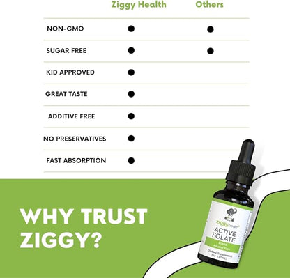 Active Folate Pure Liquid Extract Supplement - L-Methylfolate for Better Absorption, Brain Health, Improve Cellular Function, Support Immune System, Water Soluble B Complex, 1oz - by Ziggy Health