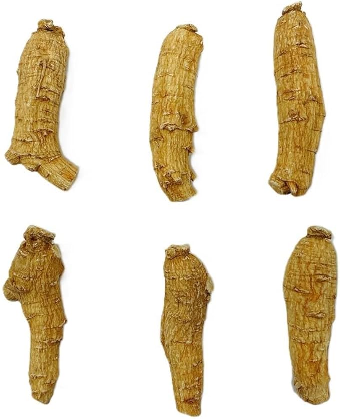 Hand Selected A Grade American Ginseng Root Large Short (4 Oz. Box)