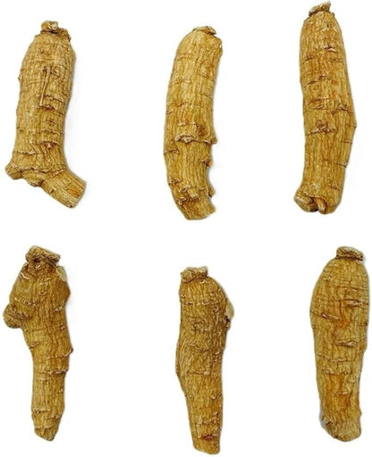 Hand Selected A Grade American Ginseng Root Large Short (4 Oz. Box)