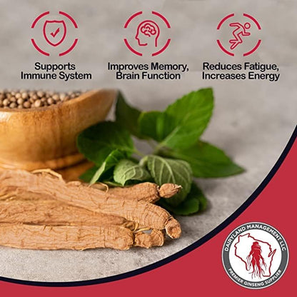 Red Panax Ginseng Slices - 16 oz Pack Korean Panax Ginseng Slices - Non-GMO, Gluten Free Red Ginseng Root Slices - Use This Herbal Supplement in Soup, Tea, Congee