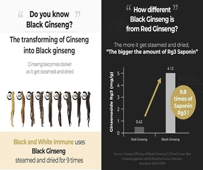 [HEBLIS] Korean Black Ginseng and White Platycodon, Asian Panax Ginseng Extract, Energy Supplements, Immune Support, Ginseng Honey Sticks