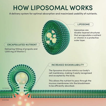 Beekeeper's Naturals Propolis Liposomal with Vitamin C Effective Bio-Available Immune Support Delivery, 30 Ct