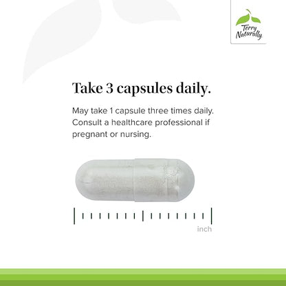 Terry Naturally Be Mobile - Collagen Supplement for Joint Health Support - Dietary Supplement with Boswellia Extract & Type II Collagen - Lower Back & Knee Support Supplement - 60 Capsules (Pack of 2)