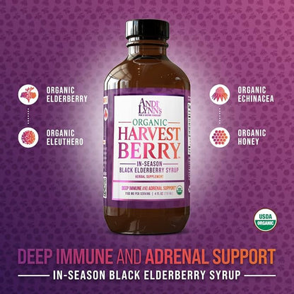 Andi Lynn's Organic Harvest Berry Syrup for Kids and Adults – Real Honey Elderberry Syrup for Immune Support - Therapeutic Formula - 4 Fl. Oz (Pack of 3)