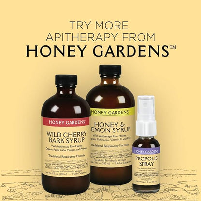 Honey Gardens Elderberry Syrup with Grade A Raw Honey, Propolis, Organic ACV & Elderberries | Traditional Immune Formula w/Echinacea | Made in The USA (4oz)