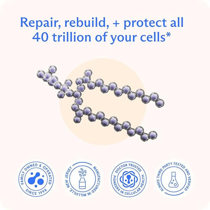 BodyBio Brain Supplement 4 oz. - Phospholipid Complex for Healthy Aging | Nootropics Booster | Enhance Focus, Memory, Cellular Repair Phosphatidylcholine for Increased Bioavailability