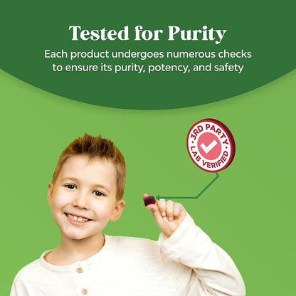 Natures Craft Kids Elderberry Gummies with Zinc and Vitamin C - Delicious Sambucus Black Elderberry Gummies for Kids Immune Support - Daily Immunity Support Vegan Non-GMO Gluten and Gelatin Free