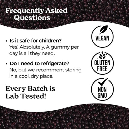 Norm's Farms Daily Immune Elderberry Gummies - Vitamin C, Zinc & Probiotics - Vegan, Gluten Free, Kosher, Non-GMO - 60 Gummies