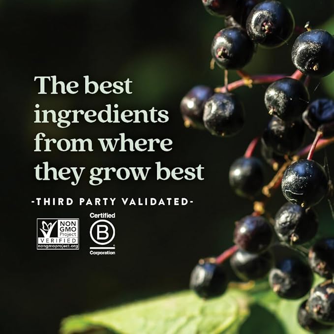 New Chapter Elderberry Syrup, 24 Servings, Immune Defense for Adults & Kids (2+), 64x Concentrated Black Elderberry + Throat-Soothing Grade A Honey, Non-GMO Project Verified, Gluten Free