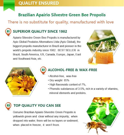 Official Distributor - 3 Bottles of Apiario Silvestre Brazilian Green Bee Propolis Liquid Glycolic Extract-Non Alcoholic, Wax Free, Sugar Free