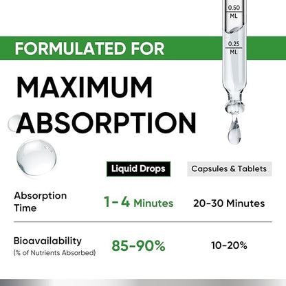 Venture Pal Vitamin D3 10000 iu Plus K2 (MK-7) 200 mcg Liquid Drops, Magnesium & Zinc MCT Oil | for Bone, Mood & Immune Health | High Absorption VIT K2 D3 Vitamin Supplement(Mint,2 Fl Oz)