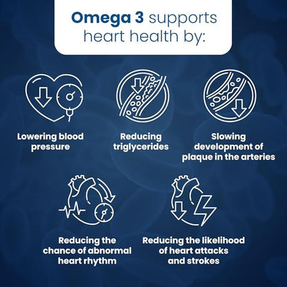 Well of Life Omega-3 Fish Oil – 60 Softgels | High EPA & DHA for Heart and Brain Health | Non-GMO, Premium Fish Oil Supplement | Made in USA, GMP Certified
