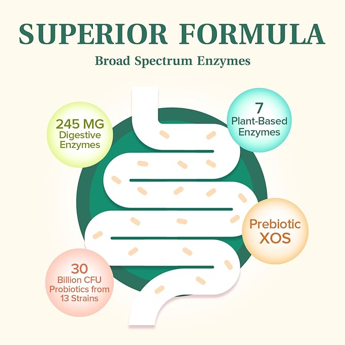 Digestive Enzymes, 7 Plant-Based Enzymes, 245 mg, 30 Billion CFU Probiotics, 13 Strains, Prebiotic XOS, Gentle, Digestive Health, Shelf Stable, 60 Vegan Caps