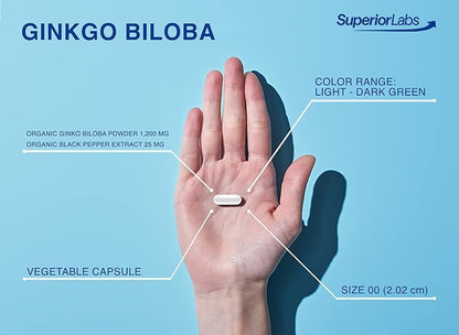 SuperiorLabs - Ginkgo Biloba - 1200mg, 120 Vegetable Capsules - Added Black Pepper for Optimal Absorption - Supports Brain and Heart Health - Memory & Concentration - Circulation Support
