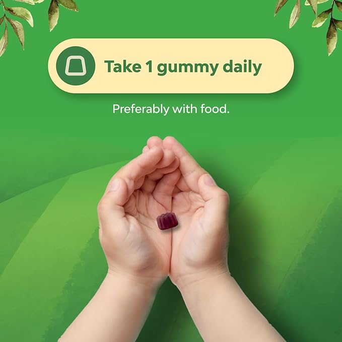 Natures Craft Kids Elderberry Gummies with Zinc and Vitamin C - Delicious Sambucus Black Elderberry Gummies for Kids Immune Support - Daily Immunity Support Vegan Non-GMO Gluten and Gelatin Free