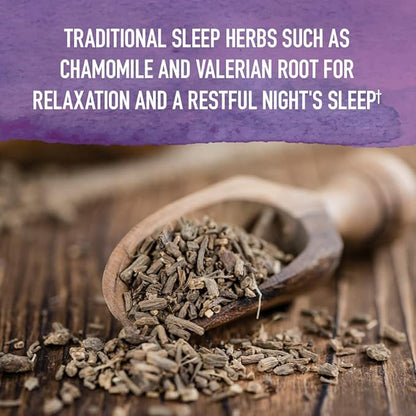 Garden of Life Organics Elderberry & Sleep Immune Syrup - Immune Support for Adults and Kids 12 and Older with Zinc and Vitamin C, Organic Liquid with Sleep Herbs, No Added Sugars, 6.59 fl oz
