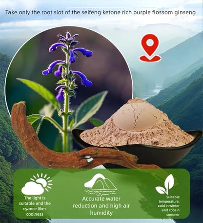 Dan Shen Powder Salvia Miltiorrhiza Powder Red Sage Root 丹参粉 120mesh (8.81oz)