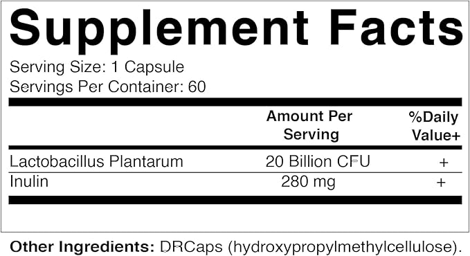 Vitamatic Lactobacillus Plantarum - 20 Billion per DR Capsule - 60 Count - Digestive Support - Made with Prebiotic Inulin Fiber